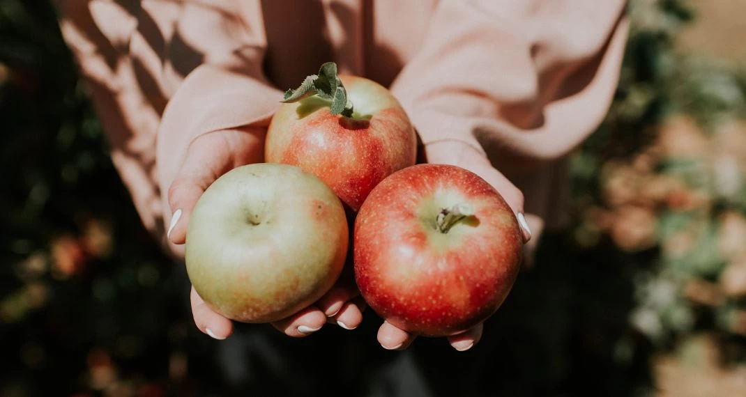 Τόσο καιρό τρώμε τα μήλα με λάθος τρόπο -Πώς πρέπει να τα καταναλώνουμε για να λαμβάνουμε όλα τα οφέλη τους